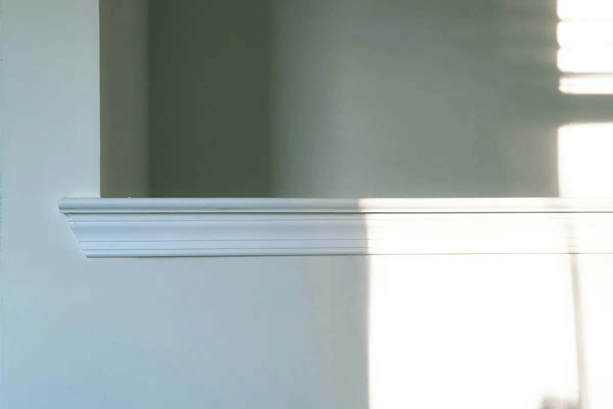 Mur vert sauge et moulure blanche fraîchement peints